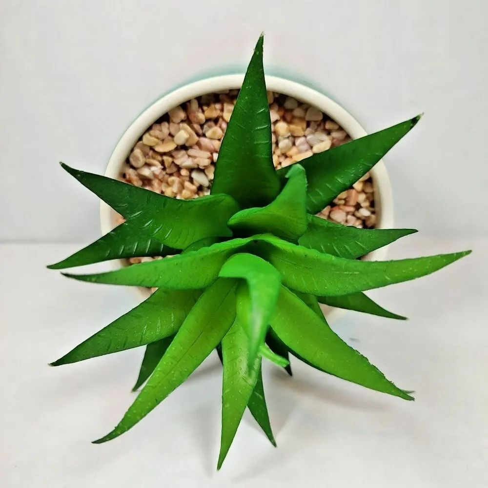 Artificial Succulent Potted Houseplant Teal Blue White Peach Tone Ceramic Rocks